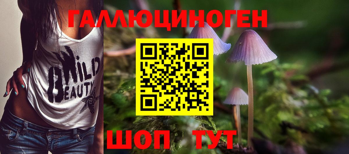 Галлюциногенные грибы мицелий  Галлюциногенные грибы GOLDEN TEACHER  Волгодонск  Вход с VPN 